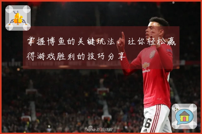 掌握博鱼的关键玩法，让你轻松赢得游戏胜利的技巧分享