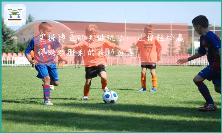 掌握博鱼的关键玩法，让你轻松赢得游戏胜利的技巧分享